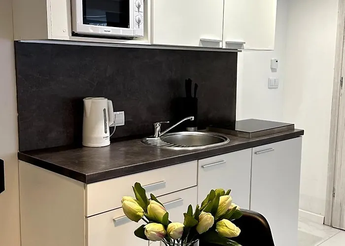 Olimpijskie Apartmán *